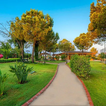 Sidemarin Kirman Premium